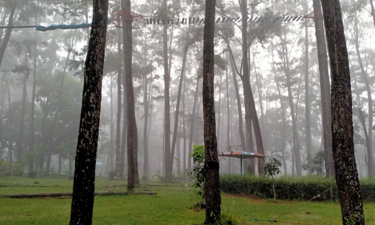 Daya Tarik Taman Punti Kayu