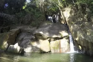 Fasilitas Taman Eden 100