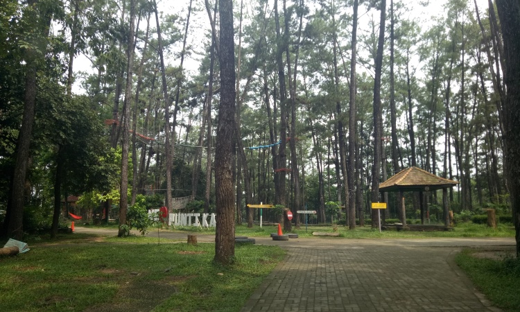 Fasilitas Taman Punti Kayu