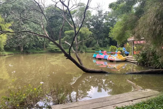 Kegiatan Taman Punti Kayu