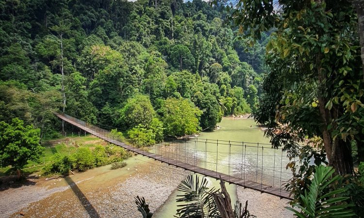 Alamat Ekowisata Tangkahan