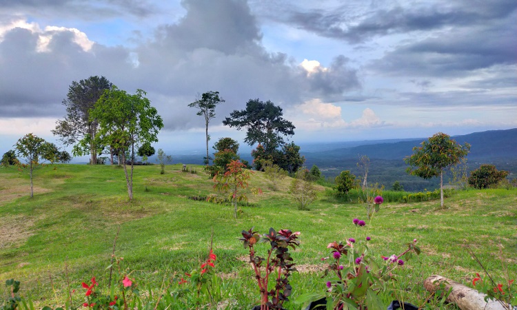 Alamat Puncak Akui
