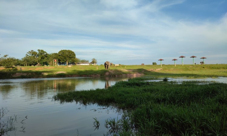 Alamat TN Way Kambas