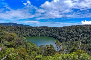 Indahnya Bukit Daun, Tempat Mendaki Favorit di Rejang Lebong