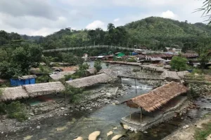 Bukit Lawang, Wisata Alam Seru di Langkat Bisa Bertemu Orangutan