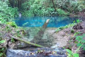 Danau Kaco Kerinci, Surga Tersembunyi di Tengah Hutan Jambi