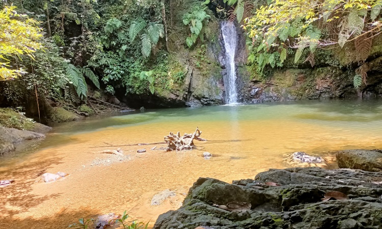 Daya Tarik Air Terjun Batu Dinding