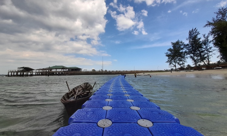 Daya Tarik Blue Coral