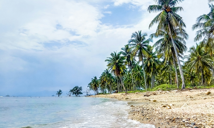 Daya Tarik di Pantai Sebalang