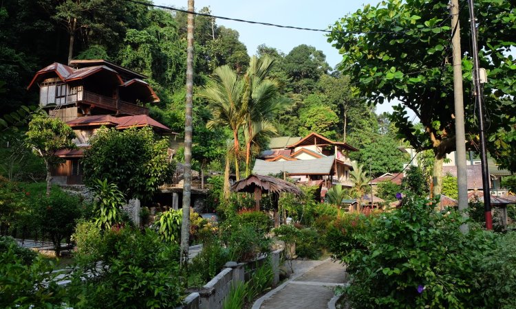 Fasilitas Bukit Lawang Langkat