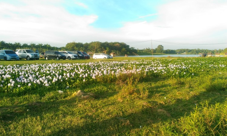 Fasilitas Pulau Cinta Teluk Jering