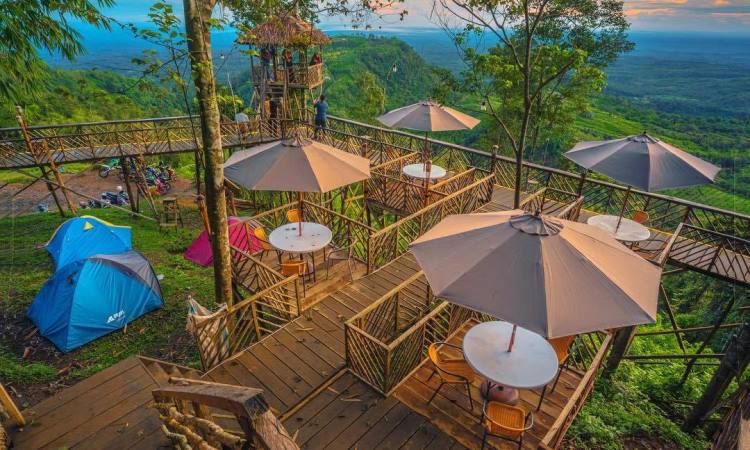 Fasilitas Rumah Pohon Habitat Langkat