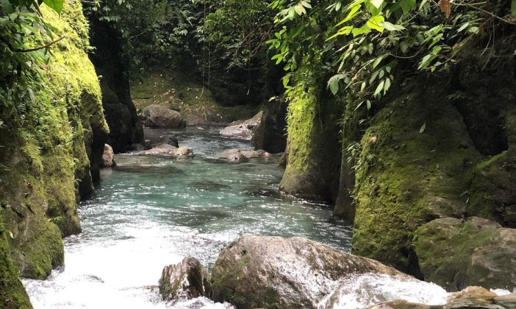 Harga Tiket Masuk Air Terjun Pelaruga Langkat
