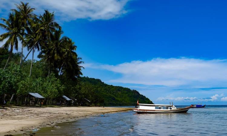 Harga Tiket Masuk Pantai Carolina