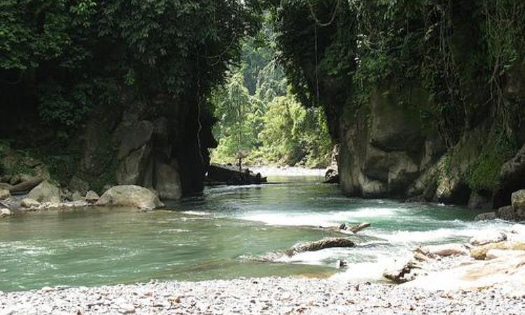 Harga Tiket Masuk Tangkahan Langkat