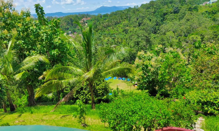 Harga Tiket Masuk Wira Garden