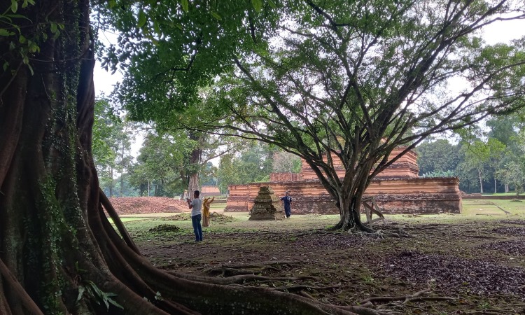 Kegiatan Menarik Candi Muaro Jambi
