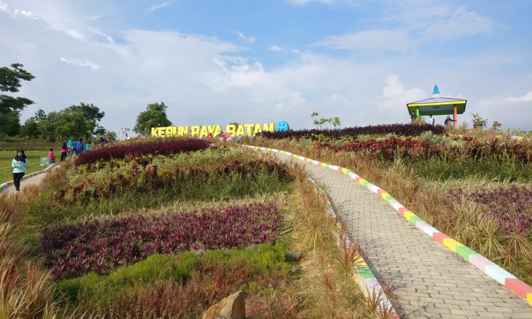Kegiatan Menarik Kebun Raya