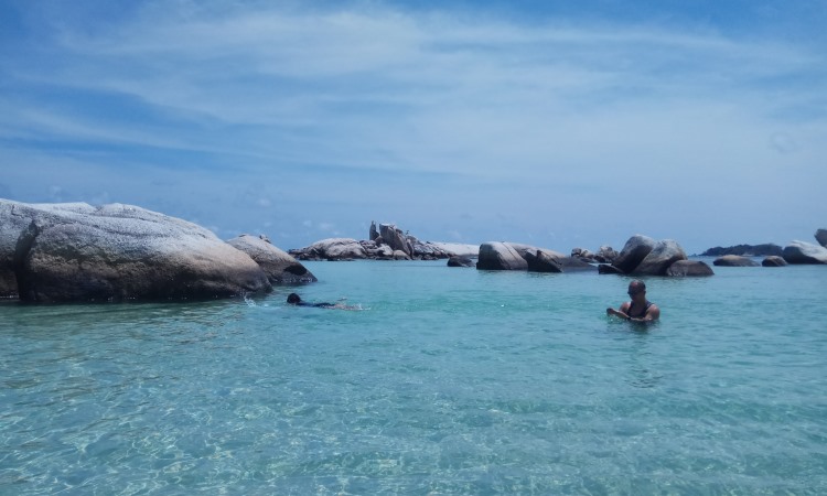 Kegiatan Menarik Pulau Burung