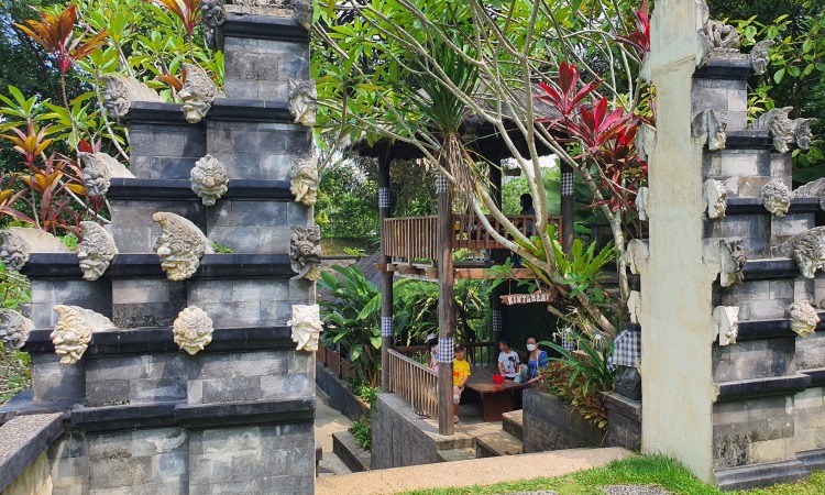 Kegiatan Menarik T Garden