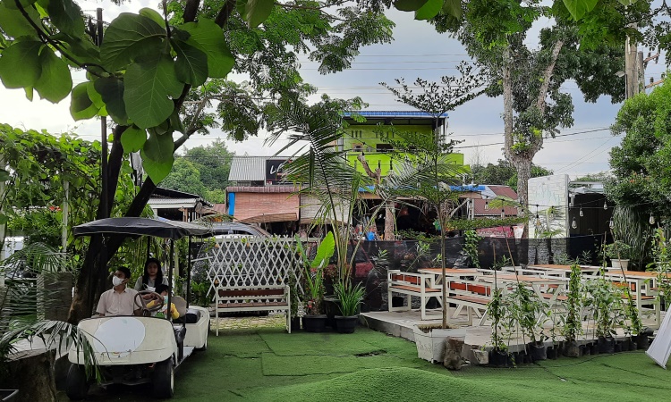 Kegiatan Menarik Taman Selfie