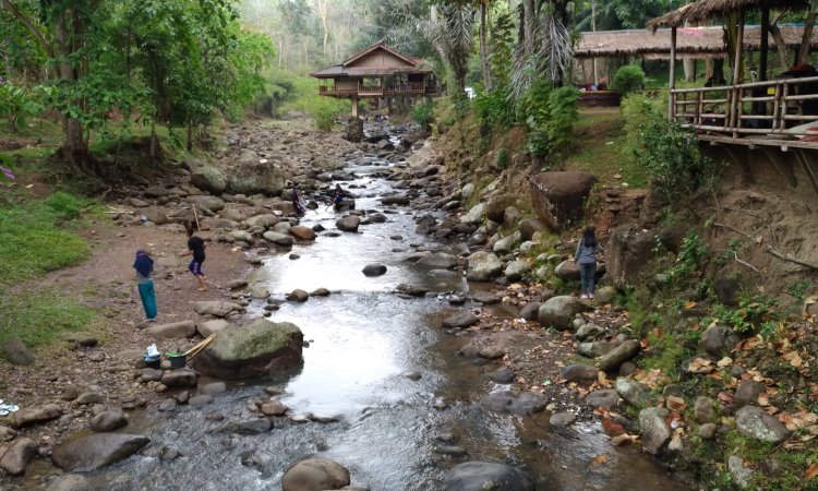 Kegiatan Menarik Wira Garden