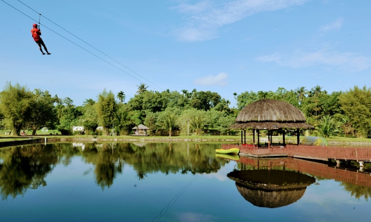 Kegiatan Menarik di Kampung Ladang