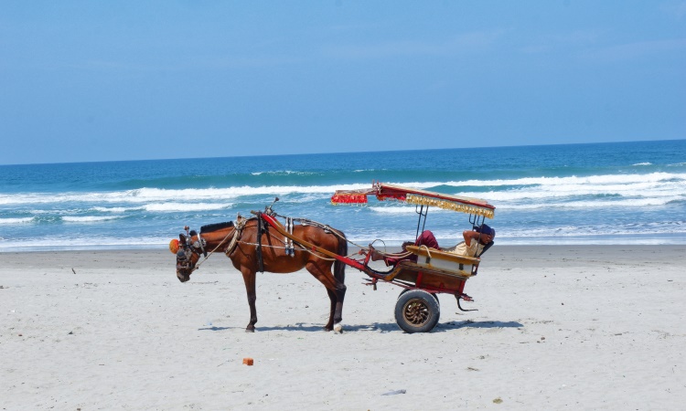Kegiatan Menarik di Pantai Panjang