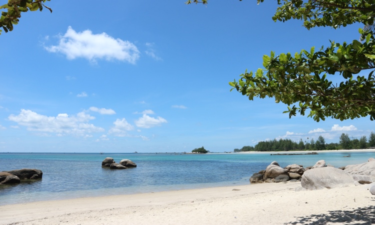 Kegiatan Menarik di Pantai Trikora