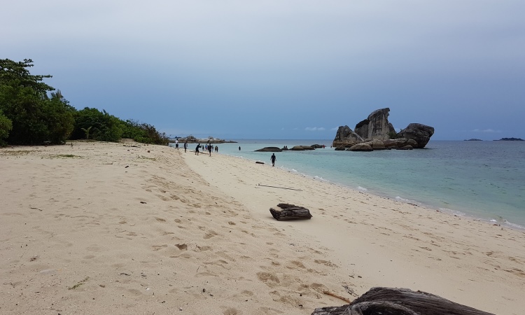 Kegiatan Menarik di Pulau Burung