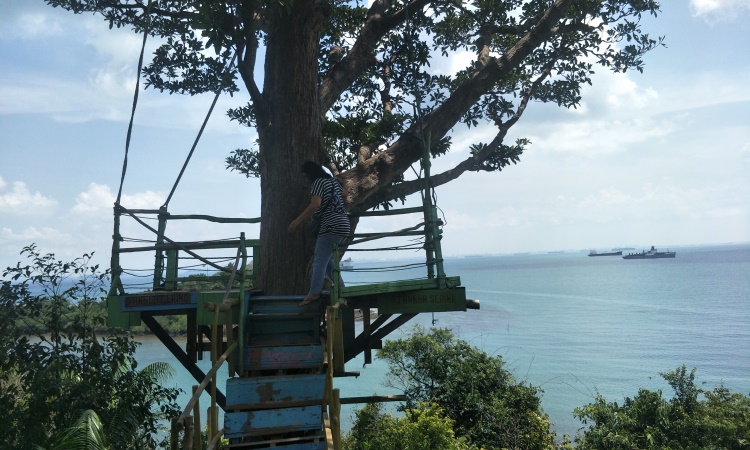 Kegiatan Menarik di Taman Wisata Habibie