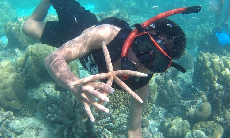 Kegiatan Pulau Banyak