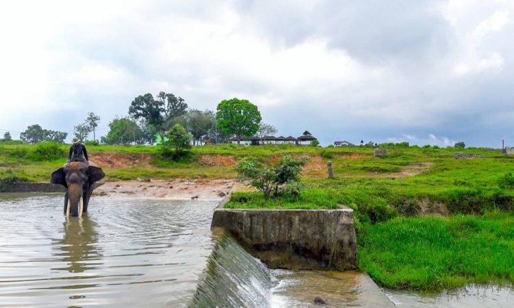 Kegiatan TN Way Kambas