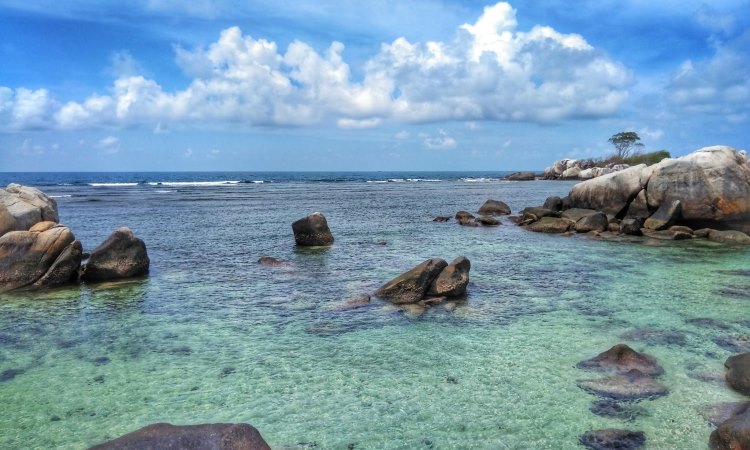 Penginapan Murah Terdekat dari Pulau Burung