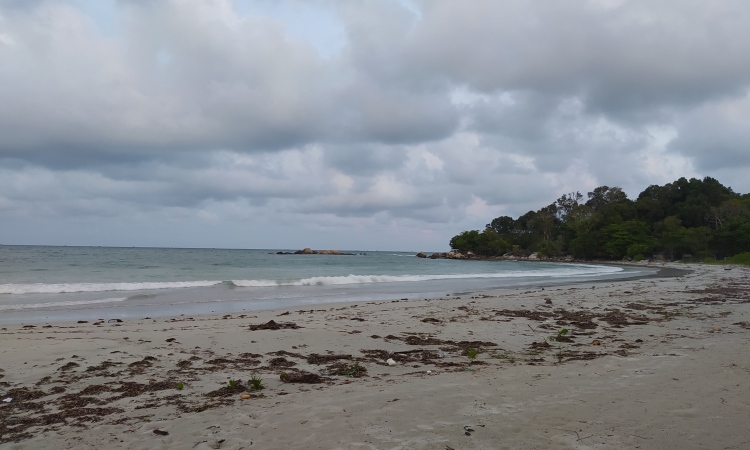 Penginapan Pantai Trikora Bintan
