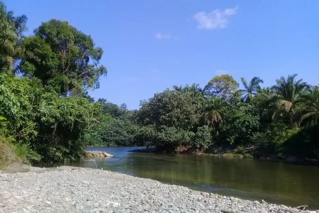 Tangkahan Langkat, Keindahan Wisata Alam di Hutan Sumatera Utara yang Memikat Hati