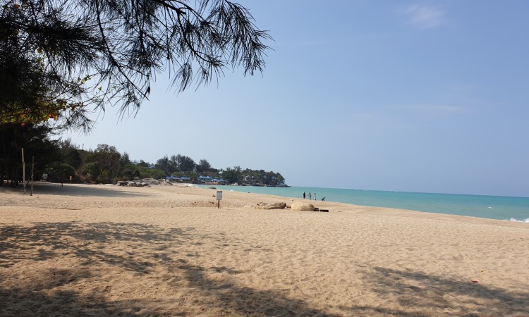 Daya Tarik Pantai Tikus Emas