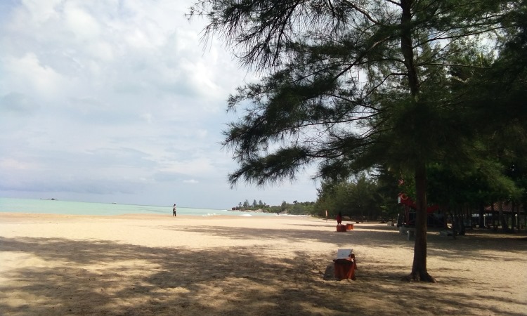 Fasilitas Pantai Tikus Emas Bangka