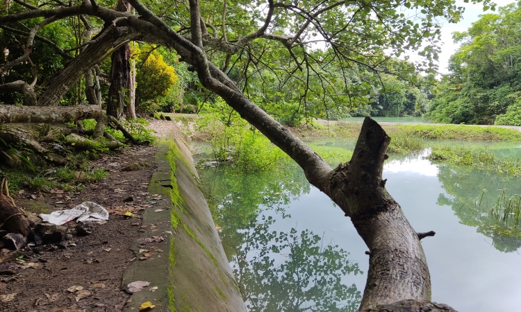 Fasilitas Pucok Krueng