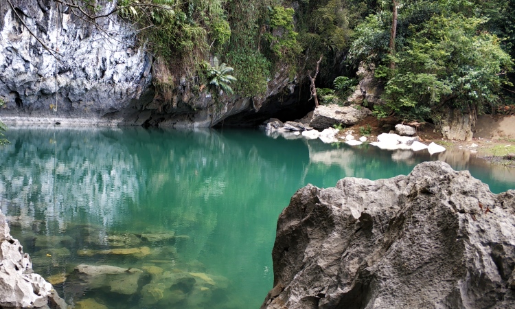 Kegiatan Menarik Pucok Krueng
