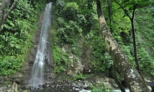 Air Terjun Ngungun Saok, Air Terjun Alami dengan Panorama Memukau di Padang