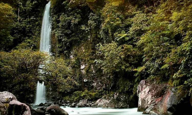 Daya Tarik Air Terjun Ngungun Saok