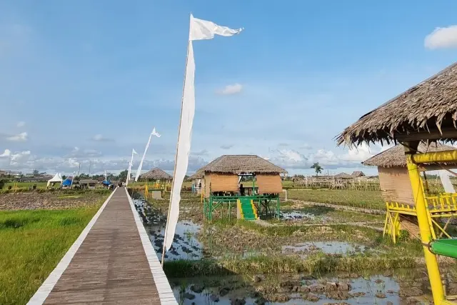 Wisata Sawah Pematang Johar