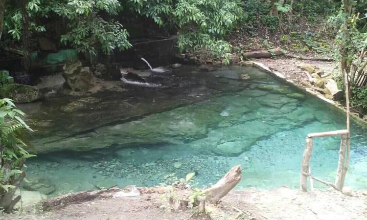 Alamat Paccur Napitu