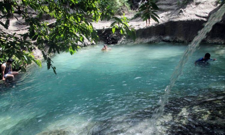 Asal Usul Pansur Napitu