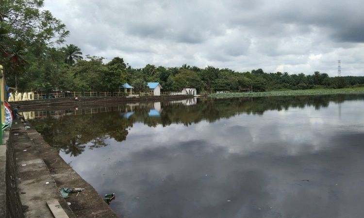 Danau Teratai Tinggi Raja, Danau Indah dengan Spot Foto Keren di Asahan