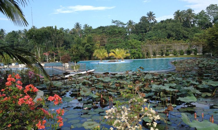 Daya Tarik Armaya Wisata Alam