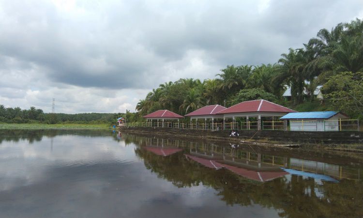 Daya Tarik Danau Teratai Tinggi Raja