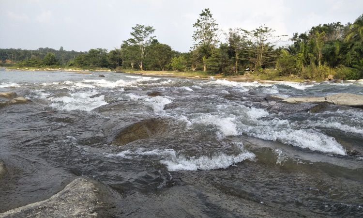 Daya Tarik Pantai Salju