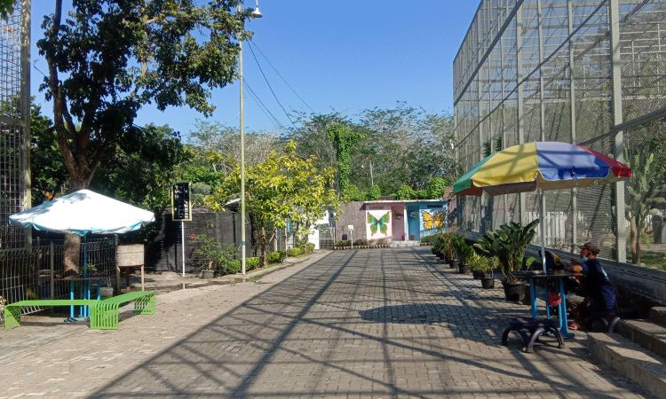 Fasilitas Central Park Zoo & Resort